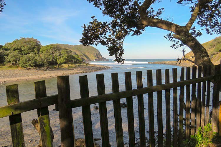 coffee-shack-accommodation-campsite-3-2