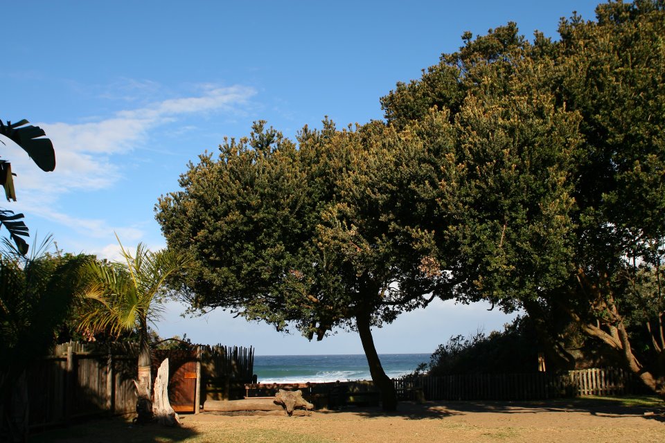 thespotbackpackers11