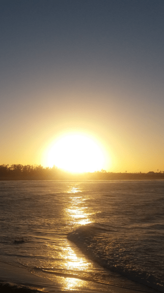 Screenshot_2017-08-31-09-44-34